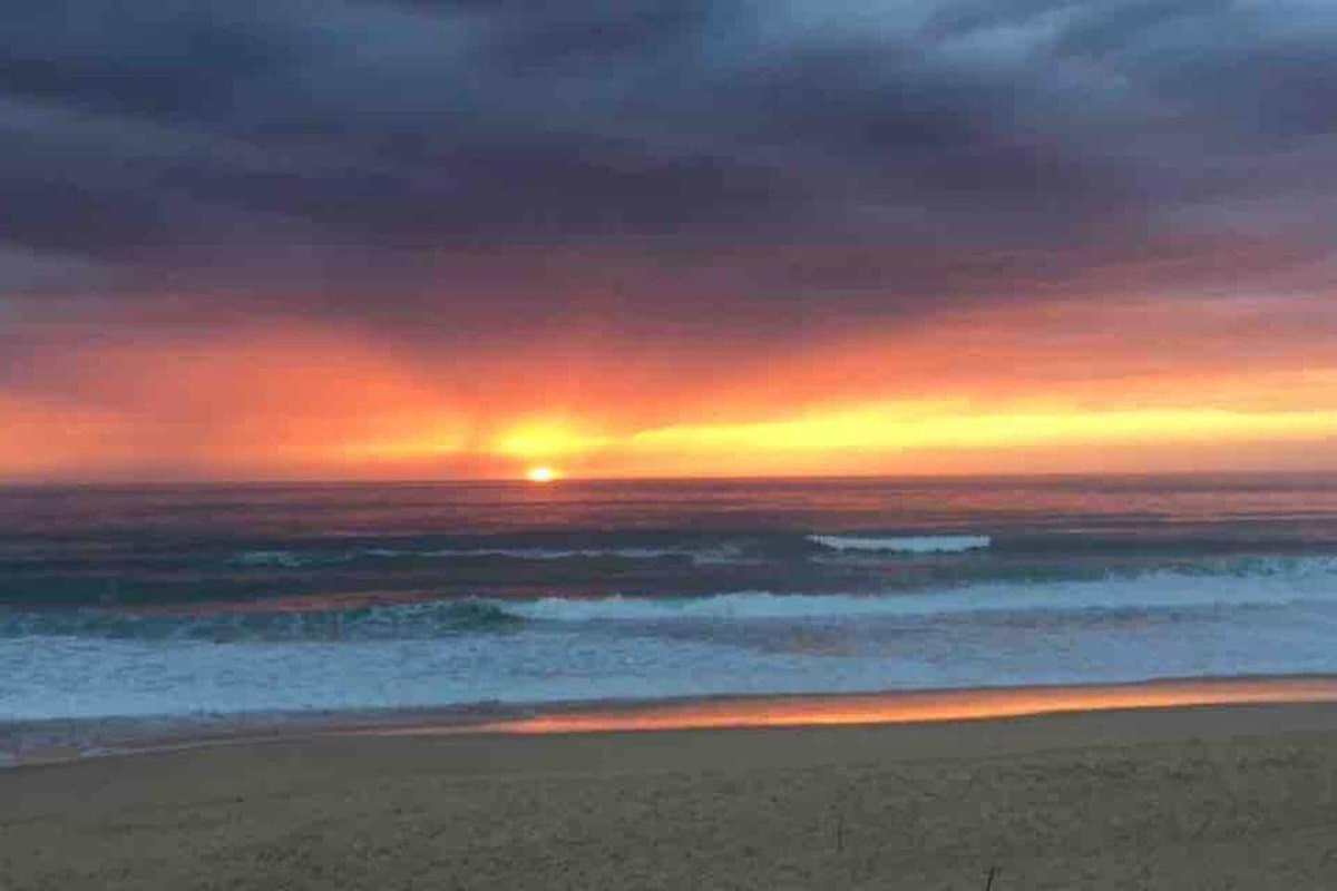 La Graviere, Cozy Studio Wifi & Parking 20M Ocean Surf Plage Soorts-Hossegor Eksteriør billede