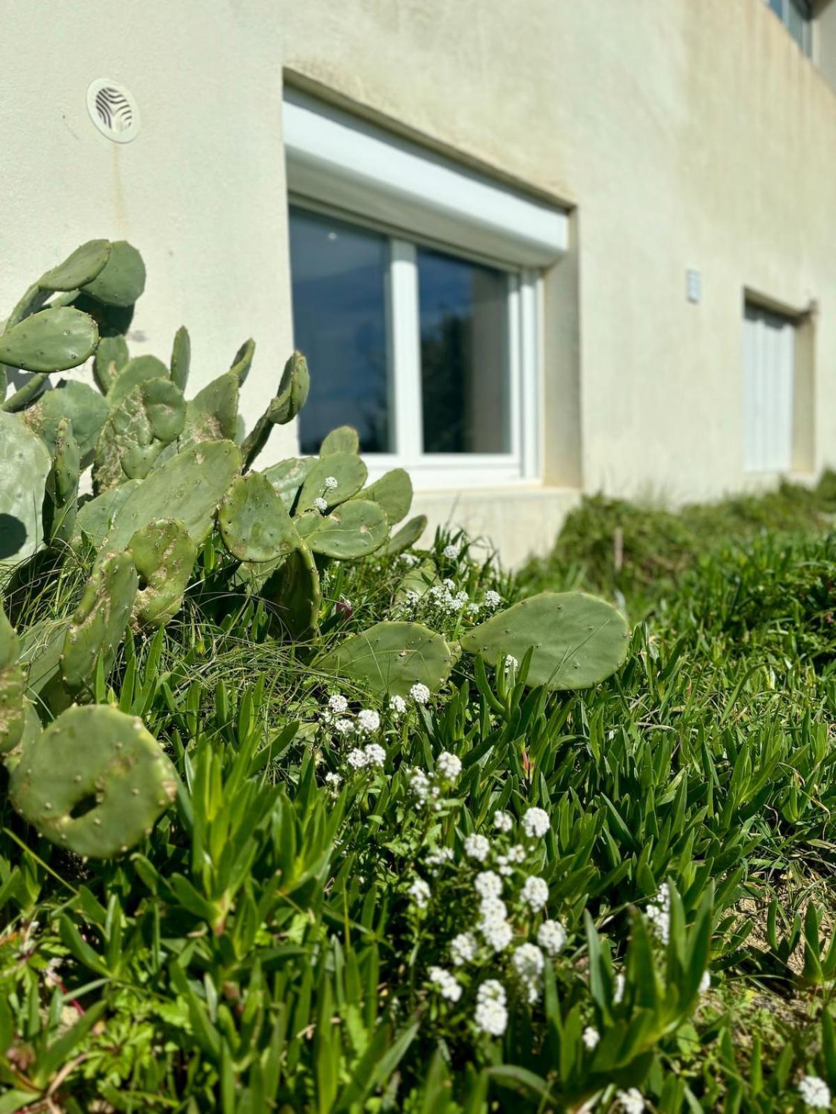 La Graviere, Cozy Studio Wifi & Parking 20M Ocean Surf Plage Soorts-Hossegor Eksteriør billede
